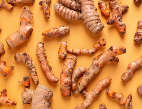 LE SPEZIE COME ERBE MEDICINALI:  LA CURCUMA